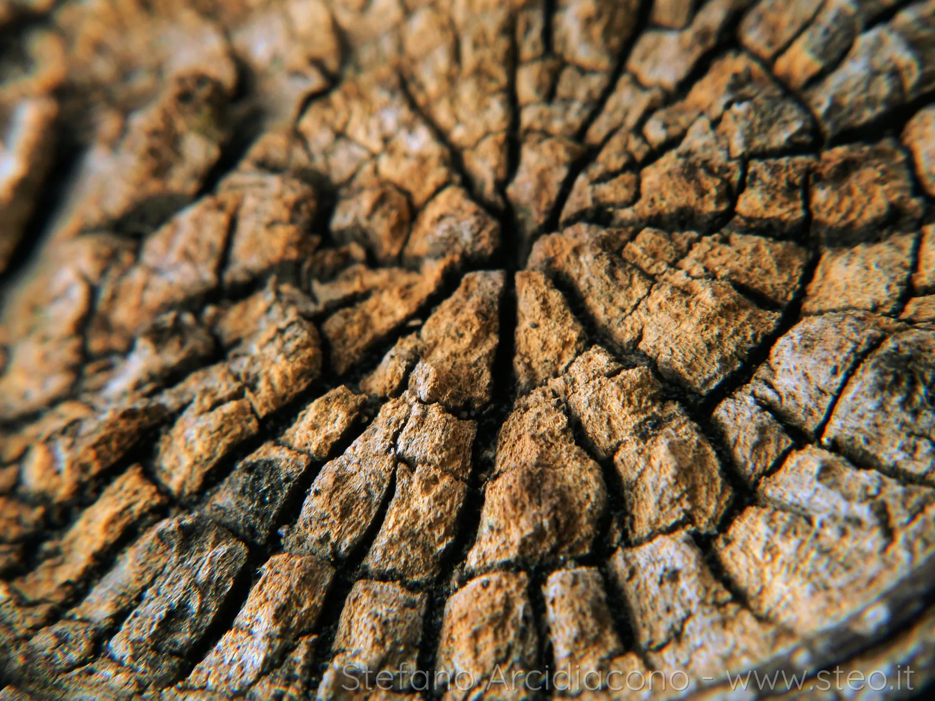 Macro | right | 40%