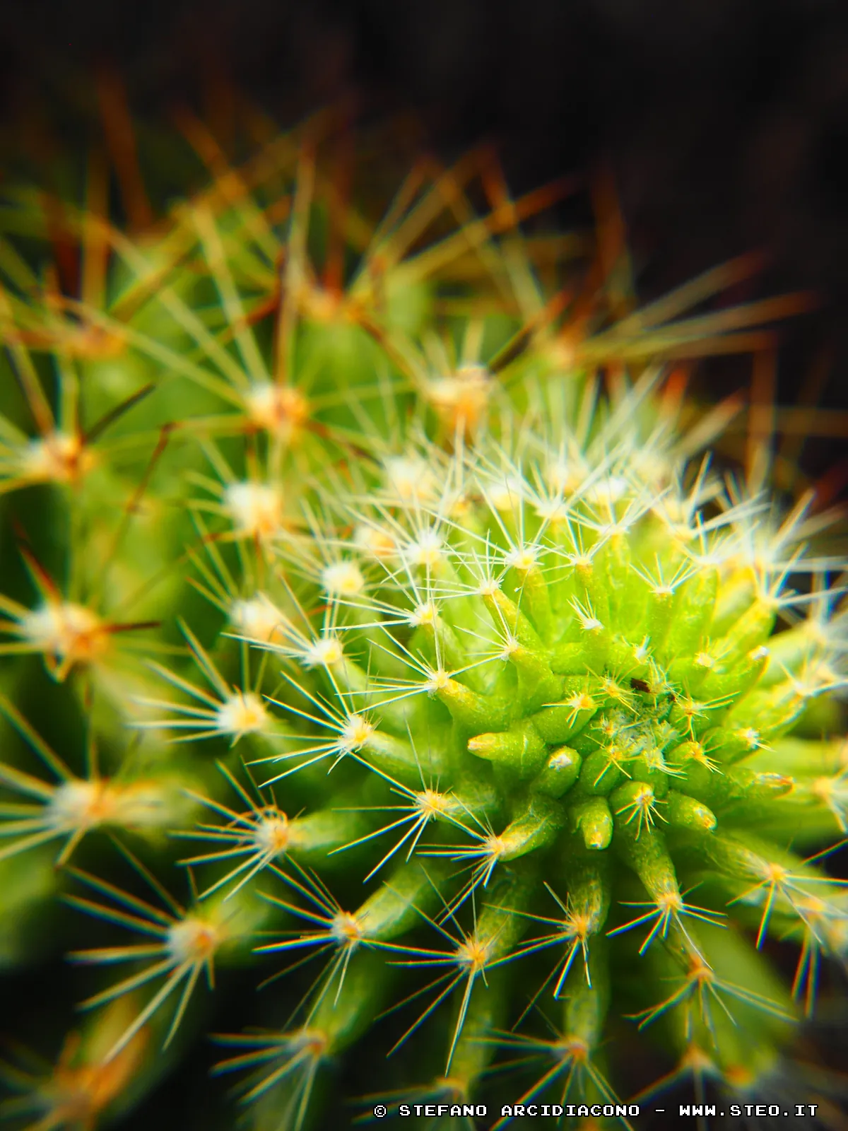Macro | right | 40%