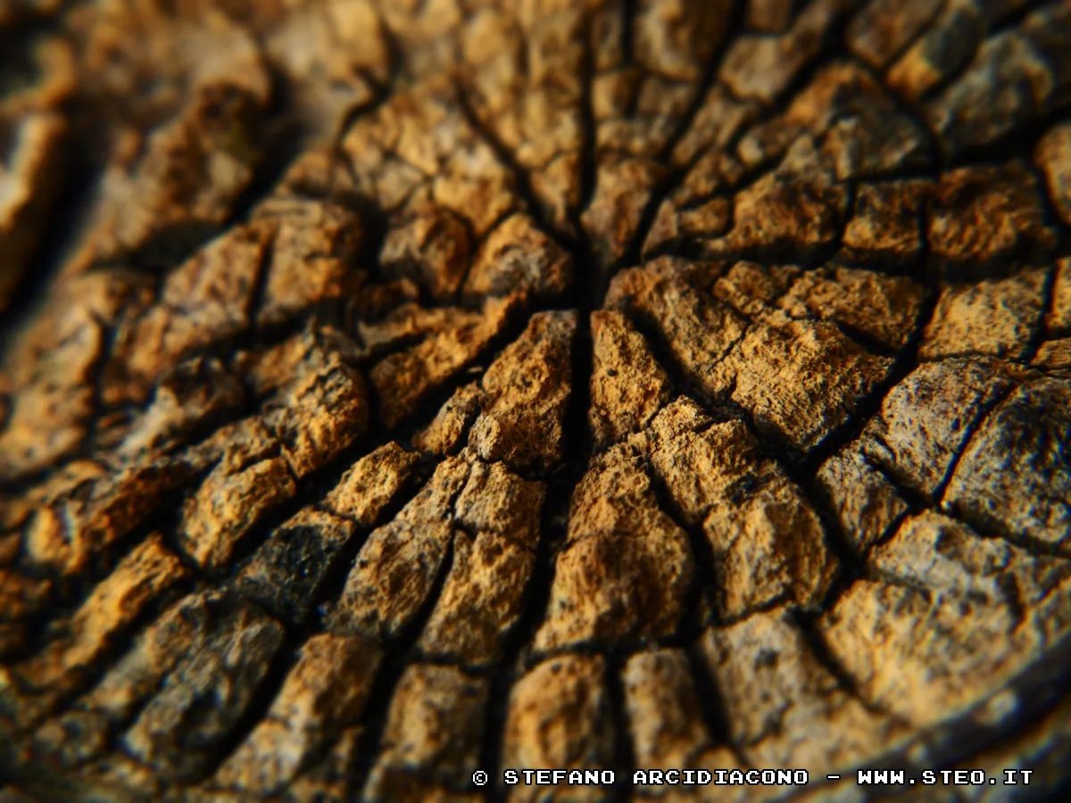 Macro | right | 40%